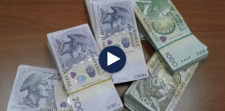Forcimi i lekut rrit fitimet e investitorëve të huaj në Shqipëri