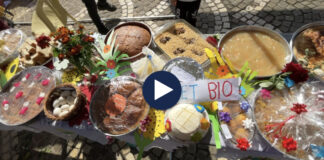 Prrenjasi kërkon turizëm/ Organizohet panairi i produkteve vendore