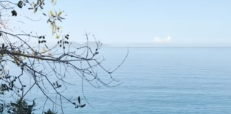 Rama ndan pamje nga bregdeti i jugut