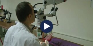 Dyfishohen të prekurit nga Covid/ Në dy javë regjistrohen 1200 raste të reja