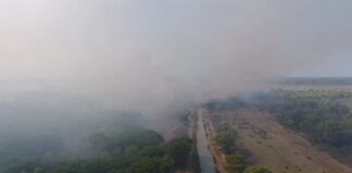 Dy ditë betejë me flakët, i pamundur neutralizimi i zjarrit në Pishporo të Fierit