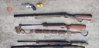 Dhunonte vazhdimisht gruan, arrestohet i riu! Në banesë iu gjetën armë