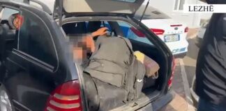 “500 euro për kokë”! Arrestohen dy persona në Lezhë, po transportonin 12 emigrantë të paligjshëm