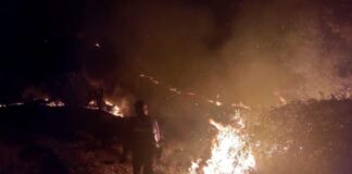 Policia arreston një 72 vjeçar për zjarrvënien në Patos