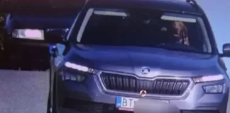 Habiten policët rrugorë, një qen filmohet duke ngarë makinën në Sllovaki