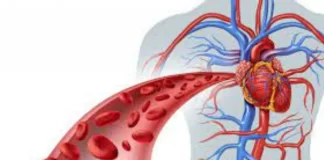 Si të kujdeseni dhe të pastroni enët e gjakut