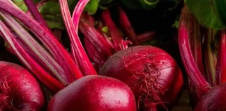 Ushqimet e vjeshtës që duhet të konsumoni për gjallërinë e lëkurës