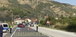 57-vjeçarja u hodh nga furgoni dhe gjeti vdekjen, lihet në burg 68-vjeçari në Elbasan