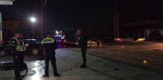 Aksident në aksin rrugor, përplaset për vdekje këmbësori