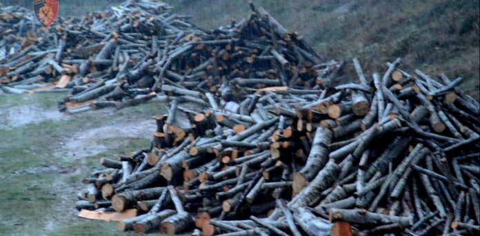 d480fe63-617a-46e0-8ad0-70b68455ac49_sd