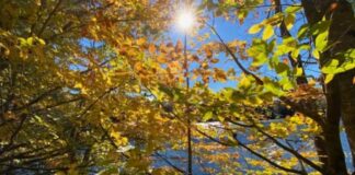 Verë në tetor! Temperaturat sot arrijnë 30 gradë