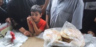 Në Gazë hyjnë dhjetëra kamionë me ndihmë humanitare