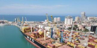 Eksportet drejt Mbretërisë së Bashkuar, gati 6 miliardë lekë