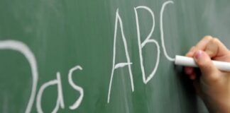 Valë gripi në Gjermani, pasoja tek mësimdhënia dhe kopshtet