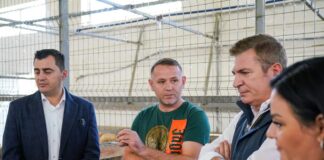 NË FERMËN E BAGËTIVE NË MJEKËS HISTORI E NJË BIZNESI MODEL