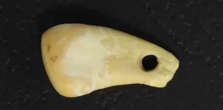 Kush e kishte veshur këtë varëse 20,000 vjet më parë? ADN-ja tani mund të na e tregojë