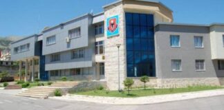 Dhunoi bashkëshorten dhe vajzën, bie në pranga 46-vjeçari