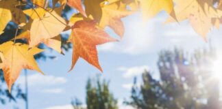 E diel me mot të kthjellët, temperaturat minimale deri në -2 gradë