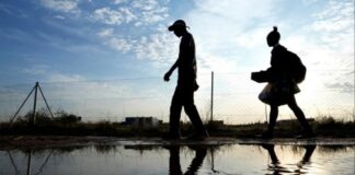 Si po e sëmurin botën ndryshimet klimatike