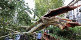 Nëntë të vdekur pas stuhive që goditën Australinë lindore