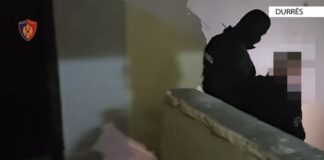 I shpallur në kërkim ndërkombëtar për trafik droge nga Italia, arrestohet Arian Malo! I dënuar me mbi 4 vite burg