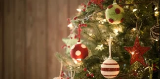 Bredhi i fundvitit dhe luksi i shfrenuar i Instagramit…