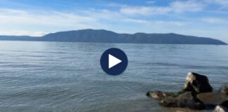 Vlorë, not në acar! E moshuara lahet në det në temperatura tepër të ulëta