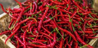 Ushqimet që ju ndihmojnë në djegien e dhjamit të tepërt