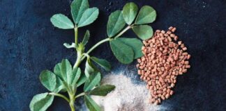 Barishtja “magjike” që rregullon kolesterolin, sheqerin dhe rrit testosteronin