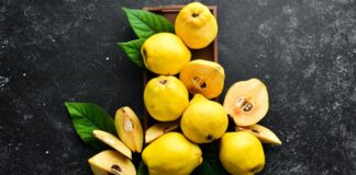 Gjithçka rreth ftoit, fruti i stinës dhe vetitë e mrekullueshme kuruese