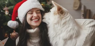 Katër këshilla të rëndësishme për pronarët e qenve! Si ti trajtoni kafshët tuaja shtëpiake gjatë pushimeve