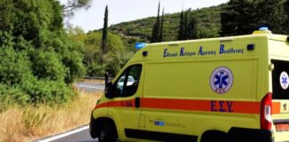 Pas debateve të ashpra, shqiptari vret veten me armë para syve të gruas dhe fëmijëve