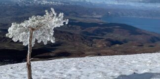 Foto/ Mali i Thatë destinacioni turistik më i preferuar me pamje nga liqeni i Pogradecit dhe Prespës