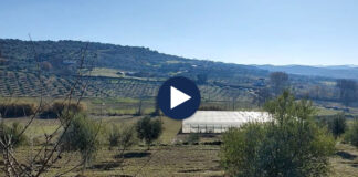 Çështja “Mbappe”, presidenti i PSG nuk e mban më presionin: Na lini të qetë!