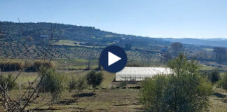 I dha fund jetës duke pirë fotoksinë, detaje nga vdekja e 45-vjeçares në Berat! Nuk e donin fëmijët…