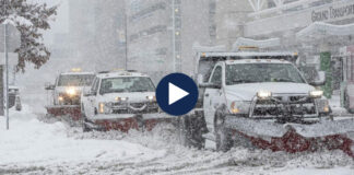 Afron “makthi” arktik! Acari i vërtetë pushton SHBA, “ngrijnë” zgjedhjet në Iowa