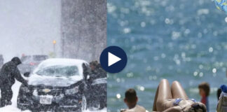 SHBA dhe Europa “dridhen”, Australia valë ekstreme të nxehti! Temperaturat, 47 gradë