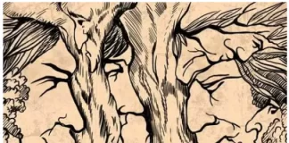 Të gjithë mund të shikojnë të paktën tre fytyra në vizatim, por më symprehtët mund të zbulojnë sa janë në të vërtetë (fotogaleri)