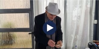 Një jetë si mjek popullor/ 87-vjeçari që shfrytëzon vetitë shëruese të bimëve