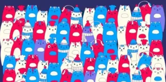 Të gjithë mund të shikojnë macet por mes tyre ka një lepurush që duhet ta gjeni në 10 sekonda (fotot)