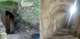Gruaja ngre pllakën e betonit dhe zbulon bunkerin nëntokësor pranë kopshtit në Angli (fotot)