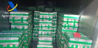 Sekuestrohen 8 ton kokainë, pakot e fshehura në një kontejner të kamufluar si gjenerator (Fotot)