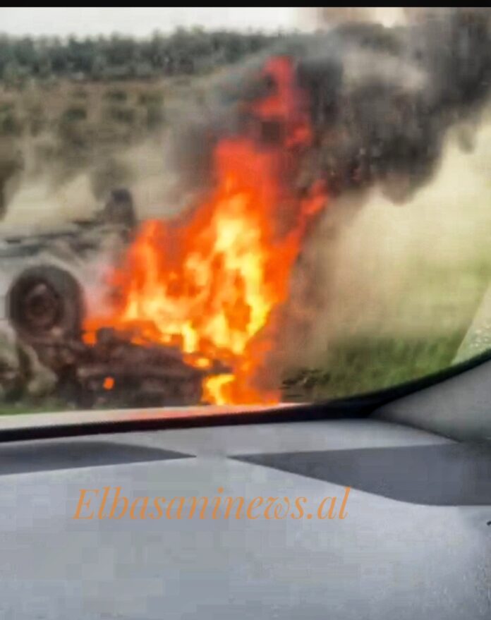 Screenshot_20240211_180202_Gallery-01