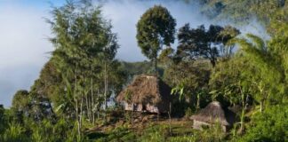 Mosmarrëveshjet fisnore për tokat/ Vriten 64 persona