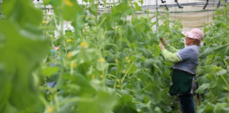 Ndryshimet klimatike, BB apelon për politika specifike për të siguruar një rritje më të gjelbër dhe afatgjatë