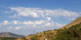 Krijohet virusi që shpërndahet nga Inteligjenca Artificiale!