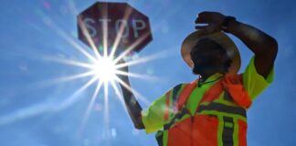 Pemët e lashta zbulojnë një pasqyrë të re alarmante në botën tonë të ngrohjes globale, shkencëtari: Kam frikë për fëmijët…