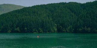 Funari Fest: Nga oaz i fshehur në destinacion turistik në rritje