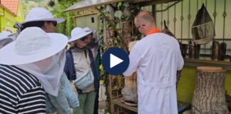 Apiturizmi në Korçë! Të huajt të fiksuar për bletët, mësojnë proceset e prodhimit të mjaltit