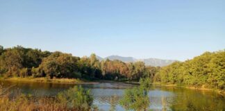 Temperatura deri në 31 gradë! Si do jetë moti për këtë të premte